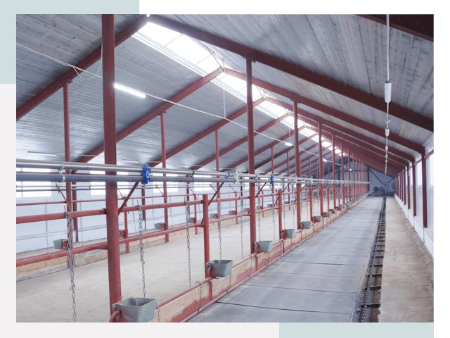 Строительство коровников в Черемхово от 626 руб.