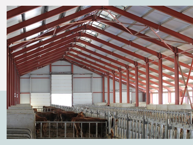 Строительство коровников в Черемхово