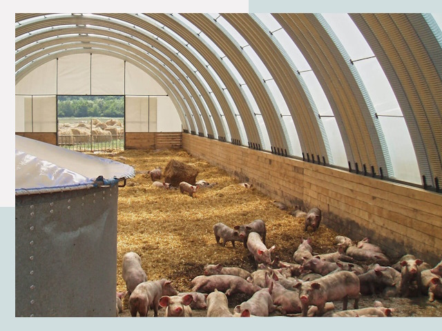 Строительство свинарников в Черемхово