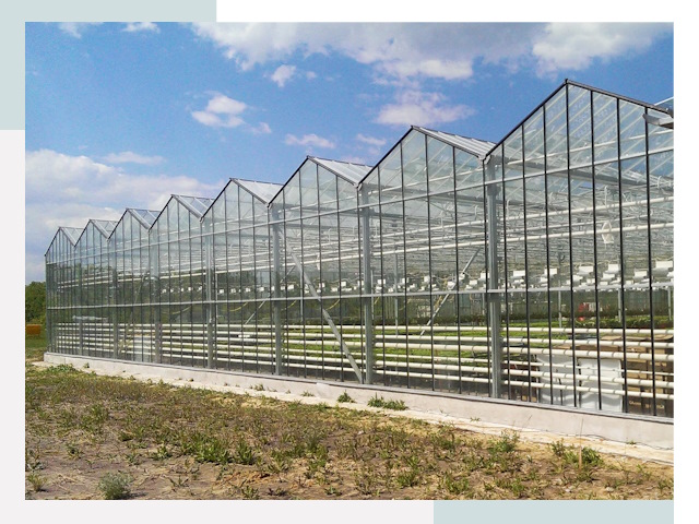 Строительство теплиц в Черемхово от 626 руб. за м²