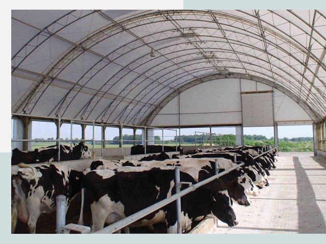 Тентовые коровники в Черемхово